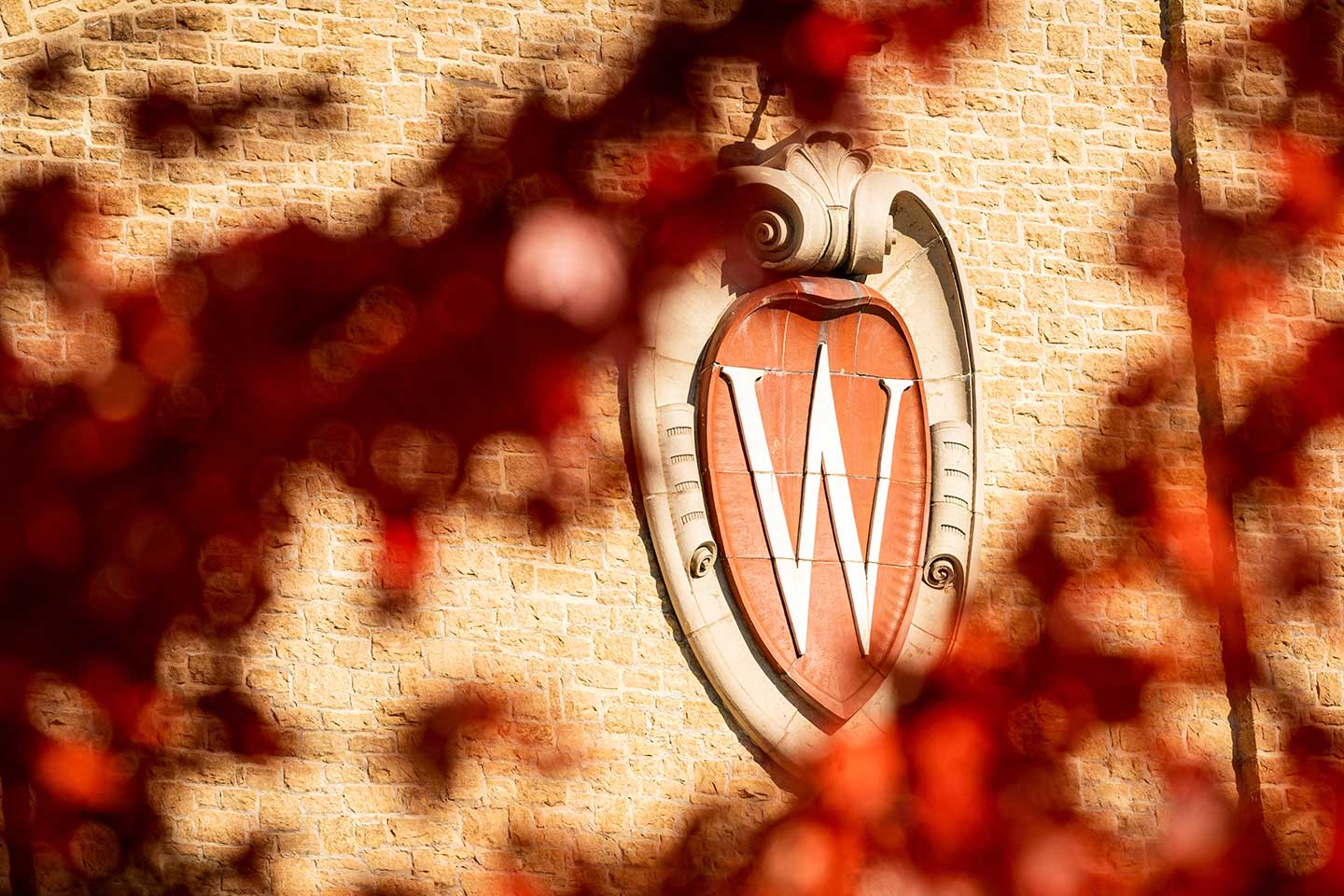 UW Board of Regents approves UW–Madison proposal to create College of Computing & Artificial Intelligence